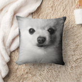大切なポメラニア犬の枕 クッション (ブランケット)