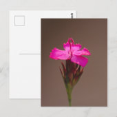 大切な人への花のメッセージ ポストカード (正面/裏面)