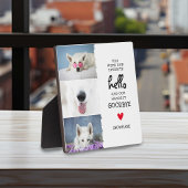 大切な別れ 最愛のペットへ 想い出のプレート フォトプラーク