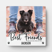 大切な友達は決して忘れないペットメモリアル フォトプラーク (正面)