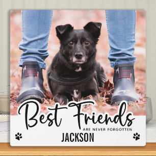 大切な友達は決して忘れないペットメモリアル フォトプラーク