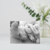 大切な子犬の時 ポストカード (スタンド正面)