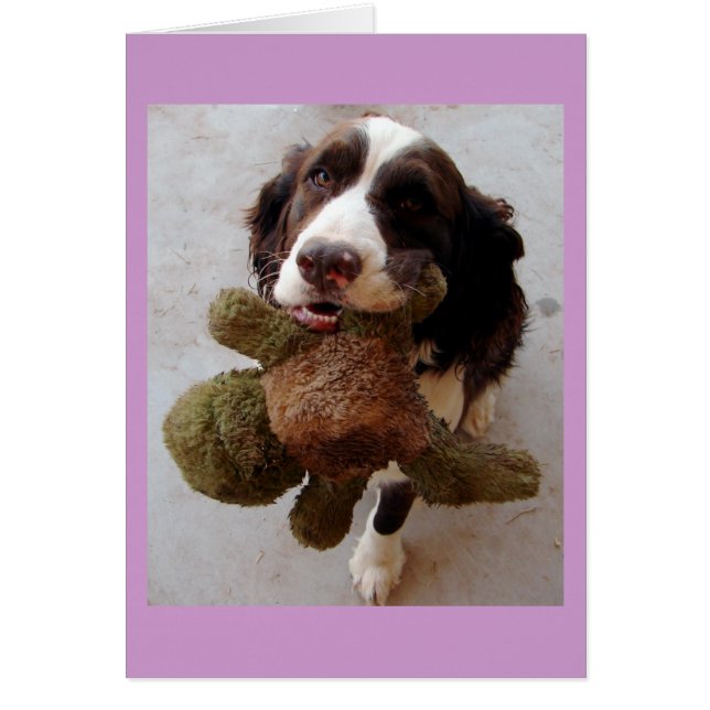 大切な子犬 (正面)