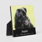 大切な愛犬を偲んで 写真テンプレート メモリアル トリビュート フォトプラーク (正面)