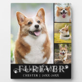 大切な愛犬メモリアル４　写真　いつまでも心の中に フォトプラーク (正面)