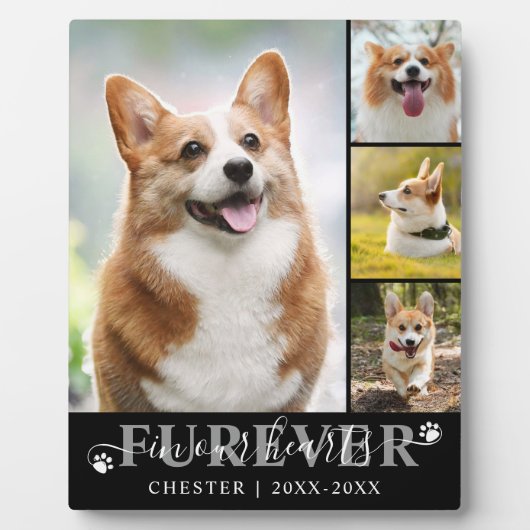 大切な愛犬メモリアル４　写真　いつまでも心の中に フォトプラーク (正面)