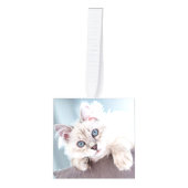 大切な愛猫の写真でクリスマスを祝おう キューブオーナメント (正面)