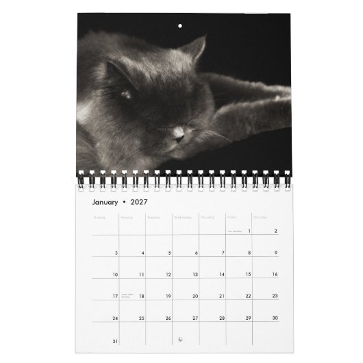 大切な猫2012のカレンダー カレンダー (1月 2027)