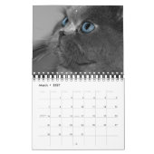 大切な猫2012のカレンダー カレンダー (3月 2027)