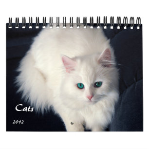 大切な猫2012のカレンダー カレンダー