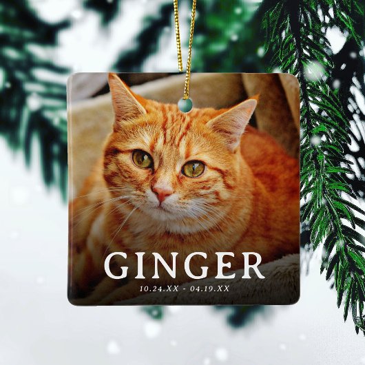 大切な記憶　ペットメモリアル猫2枚写真 セラミックオーナメント