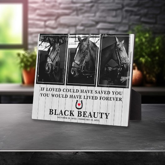 大切な馬との別れ | 馬 3 写真 追悼 プレート フォトプラーク