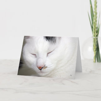 大切な2つは、すぐによく得ます カード