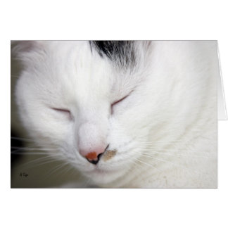 大切な2ブランク