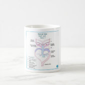 大動脈弓発生学DITKI Mug コーヒーマグカップ (中央)