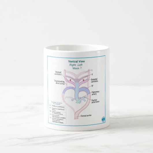 大動脈弓発生学DITKI Mug コーヒーマグカップ (中央)