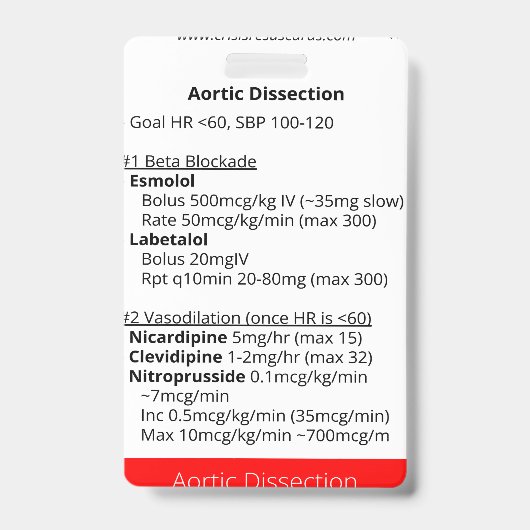 大動脈解離と肺出血  バッジ (Front)