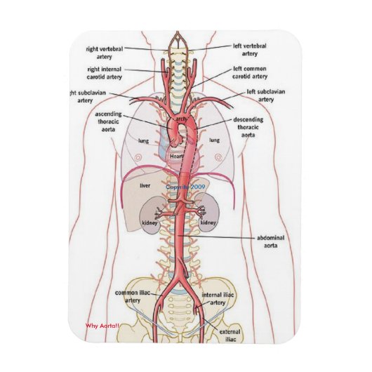 大動脈!!マグネット マグネット (縦)