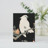 大原光尊素晴らしのCockatoo and Pomegranate シーズンポストカード (スタンド正面)