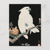 大原光尊素晴らしのCockatoo and Pomegranate シーズンポストカード (正面)
