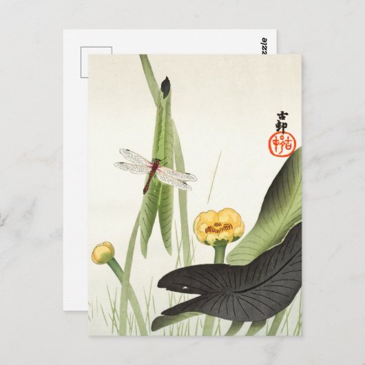 大原光尊『トンボとハス』日本の著 ポストカード (正面/裏面)