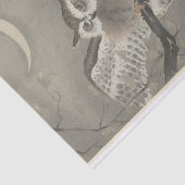 大原公孫銀杏のアカフクロウ 薄葉紙 (詳細)