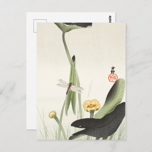 大原公日本の尊の絵画葉書小原古邨の日本画 ポストカード (正面/裏面)