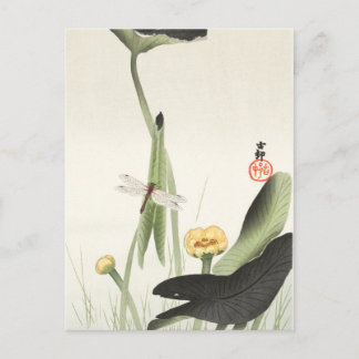 大原公日本の尊の絵画葉書小原古邨の日本画 ポストカード