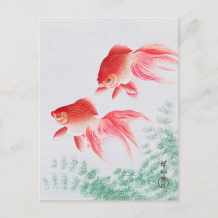 大原公日本の尊の絵画葉書小原古邨の日本画 ポストカード