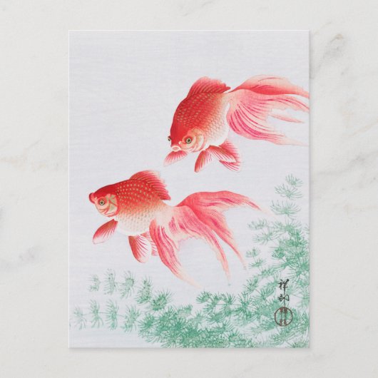 大原公日本の尊の絵画葉書小原古邨の日本画 ポストカード (正面)