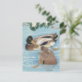 大原小村のカーターでアヒルのカップル ポストカード (スタンド正面)