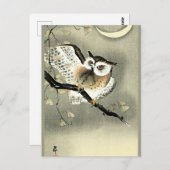 大原小村の木の枝に生えるフクロウ ポストカード (正面/裏面)