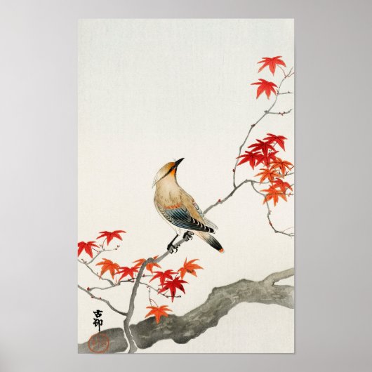 大原小村の楓の鳥の疫病 ポスター (正面)