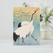 大原小村二鶴 サンキューカード (スタンド正面)