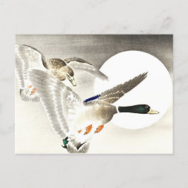 大原小村日本の満月のアヒル2匹 ポストカード