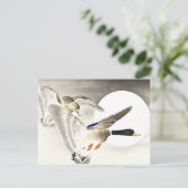 大原小村日本の満月のアヒル2匹 ポストカード (スタンド正面)