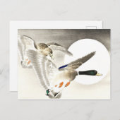 大原小村日本の満月のアヒル2匹 ポストカード (正面/裏面)