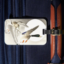 大原小村日本の満月のアヒル2匹