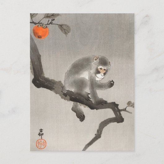 大原小村絵画のMonkey in Cockatoo's ポストカード (正面)