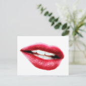 大口 ポストカード (スタンド正面)