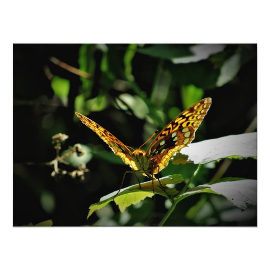 大喜び フォトプリント            (正面)