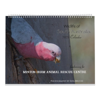 大型カレンダー24 カレンダー