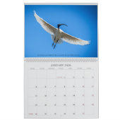 大型カレンダー24 カレンダー (1月 2026)