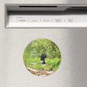 大型ネスティングログオン磁石 マグネット (インサイチュ (食洗機))