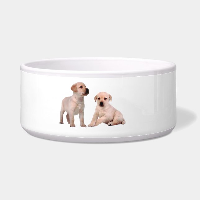 大型ペットボウル用ペット犬の画像 ボウル (正面)