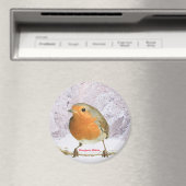 大型ラウンドマグネットのロビン画像 マグネット (インサイチュ (食洗機))