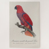 大型ルリ / エクレクタスインコ 初種 ジグソーパズル (縦)