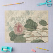 大型ヴィンテージピンクフローラ分離 薄葉紙 (クラフト)