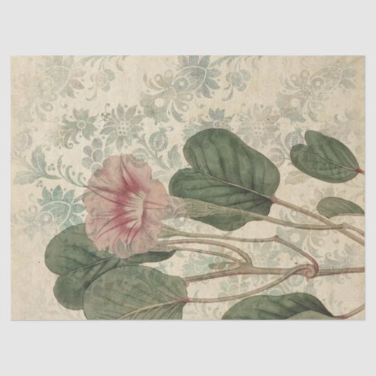 大型ヴィンテージピンクフローラ分離 薄葉紙 (正面)
