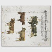 大型乳牛のヴィンテージのスタイルの古く素朴な牛 ラッピングペーパー (フラット)